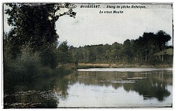 Les étangs de pêche de Maransart