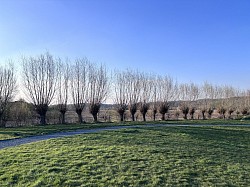 Paysage à Maransart