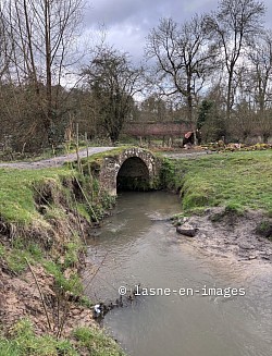 Un endroit bucolique de balade
